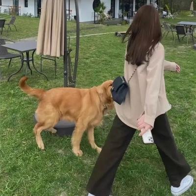 勃朗特姐妹